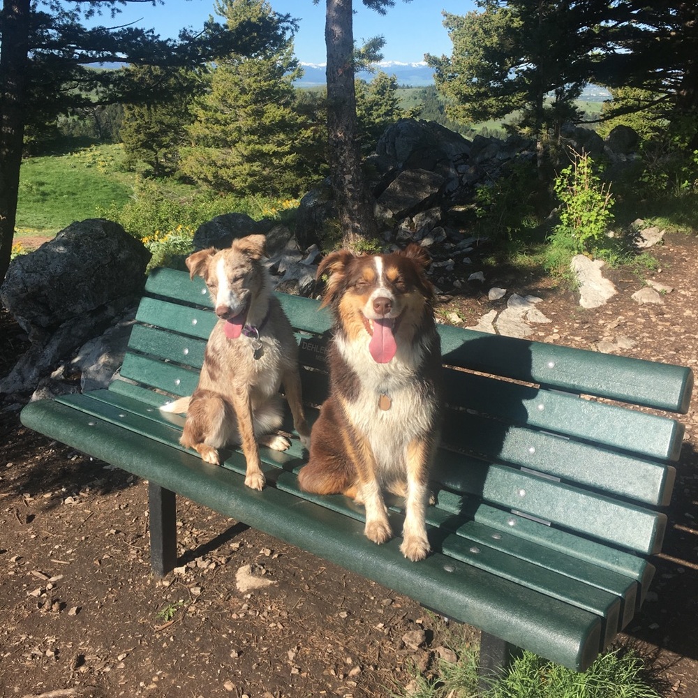 Meet your Posher, Heather